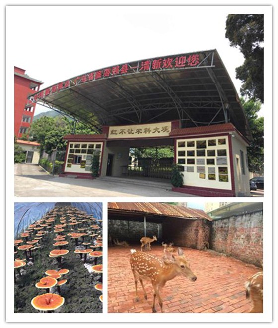 輕觸開關(guān)，輕觸開關(guān)廠家