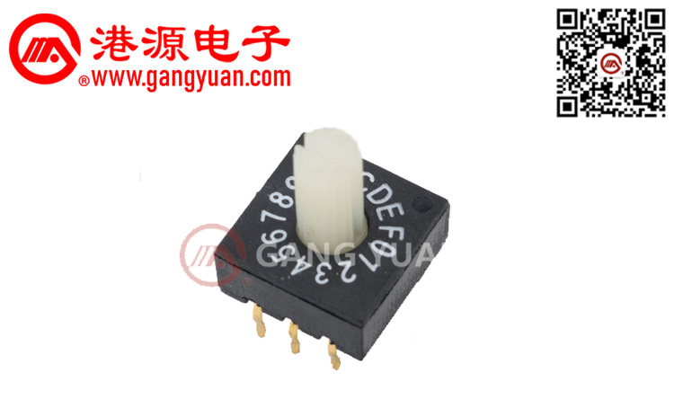 RS系列撥碼開(kāi)關(guān)